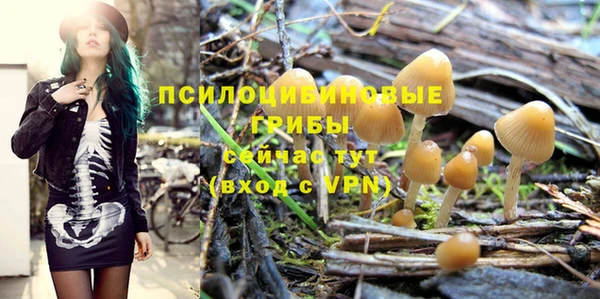 прущая мука Рославль