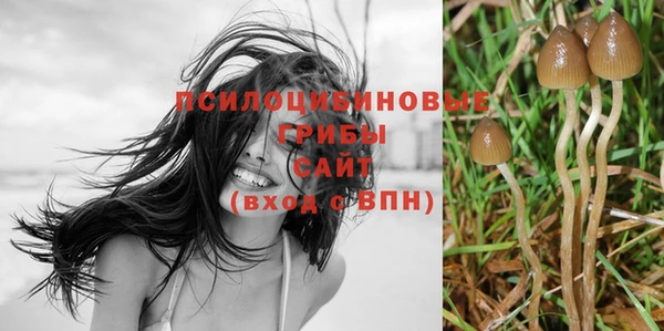 ALPHA PVP Алексин