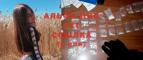 прущие грибы Ростов